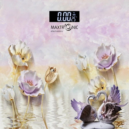 Весы Maxtronic MAX-267 электронные до 180 кг