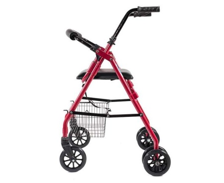 Ходунки Roll Push (ЧЗ)