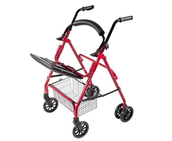 Ходунки Roll Push (ЧЗ)