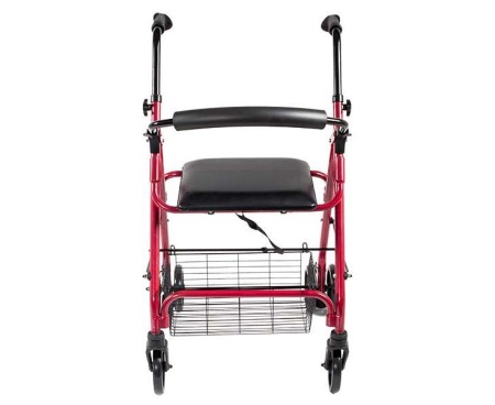 Ходунки Roll Push (ЧЗ)