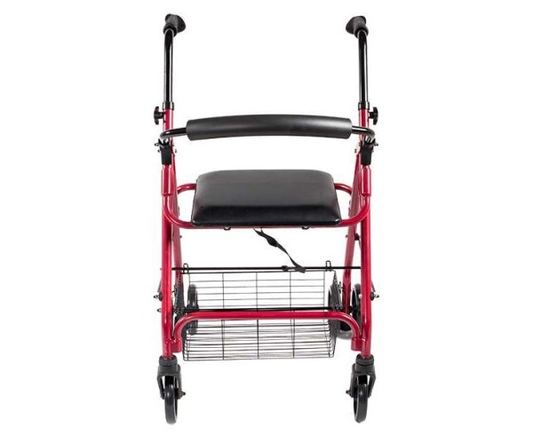 Ходунки Roll Push (ЧЗ)